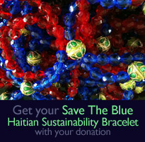 Donate and receive your free SaveTheBlue necklace!